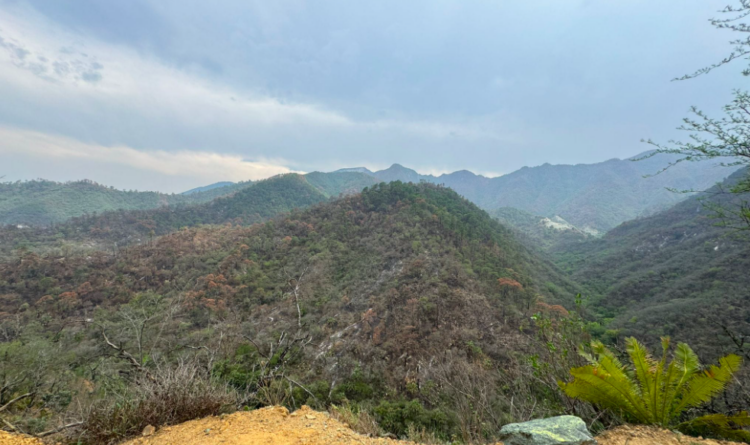PC reporta liquidación total del incendio en el Cañón del Novillo