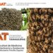 La UAT lanza campaña para rescatar y proteger enjambres de abejas