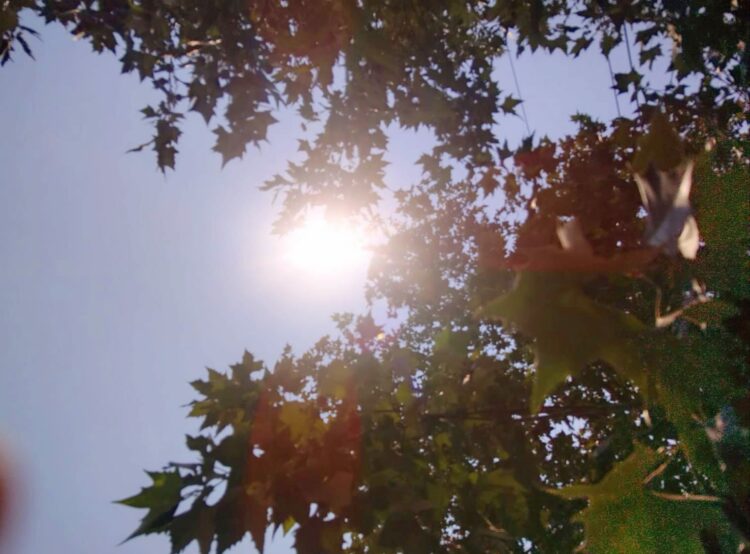 ¿Y la canícula, cuándo empieza?