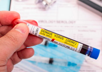 Reportan 203 casos de dengue en 10 municipios de Tamaulipas | Foto: Web