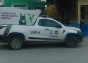 Multa Gobierno de Reynosa a infractores por maltrato a mascotas