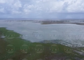 Acumula presa Vicente Guerrero un 18.2 % ; hace una semana estaba en 7.72