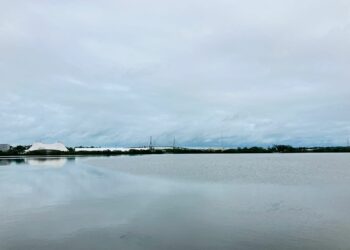 Sistema lagunario del sur de Tamaulipas presenta recuperación del 70 por ciento