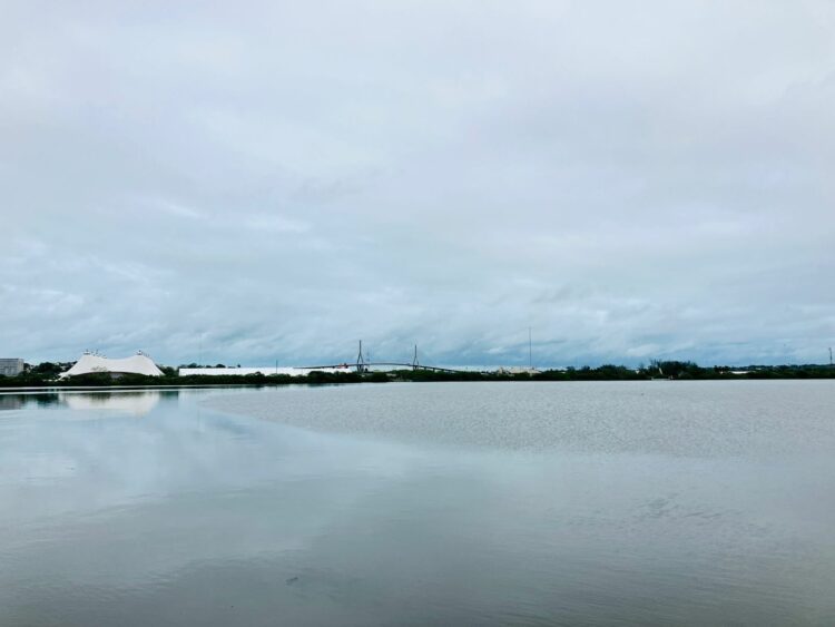 Sistema lagunario del sur de Tamaulipas presenta recuperación del 70 por ciento