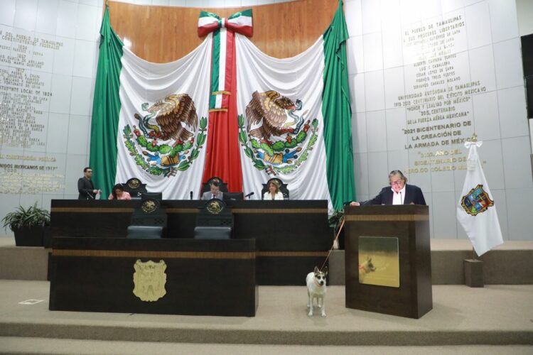 Congreso adopta a Perrucha y Ardillita