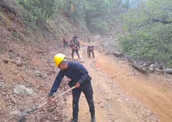 Reforestarán el cañón del Novillo