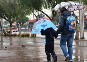 Sin clases en el centro de Tamaulipas; 9 escuelas funcionan como albergues | Foto: Web