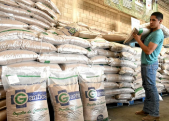 Autoriza Gobierno de Tamaulipas apoyo a ganaedros afectados por la sequía | Foto: Cortesía