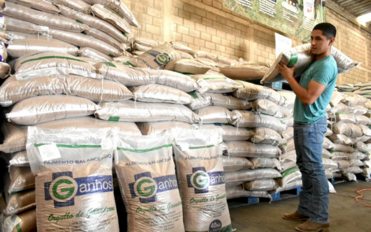 Autoriza Gobierno de Tamaulipas apoyo a ganaedros afectados por la sequía | Foto: Cortesía