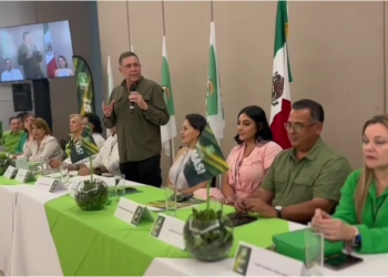 Geño Hernández va al CEN del Partido Verde