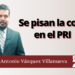 Marco Antonio Vázquez Villanueva | Se pisan la cola en el PRI