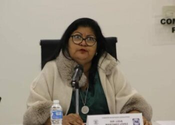 Panistas piden pensión vitalicia a diputada chapulina. La diputada panista, Lidia Martínez López.