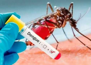 Tamaulipas registra cinco casos de dengue severo | Foto: Web