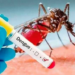 Tamaulipas registra cinco casos de dengue severo | Foto: Web