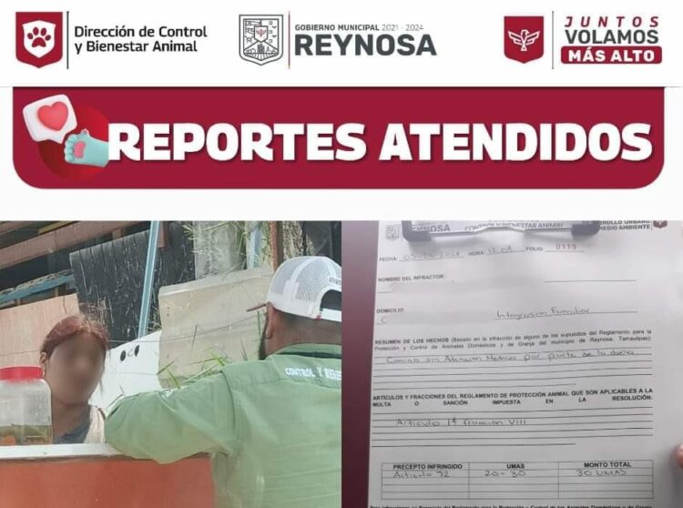 Sanciona Gobierno de Reynosa casos de maltrato animal