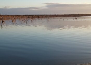 Tras ocho años de sequía, Tamaulipas supera crisis hídrica | Foto: Presa Vicente Guerrero, Padilla, Tamaulipas | Karla Urbina