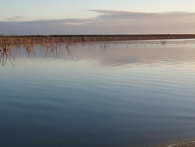 Tras ocho años de sequía, Tamaulipas supera crisis hídrica | Foto: Presa Vicente Guerrero, Padilla, Tamaulipas | Karla Urbina
