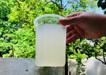 Pésima calidad del agua potable en el sur de Tamaulipas. Foto de Tania Villanueva/EnUn2x3