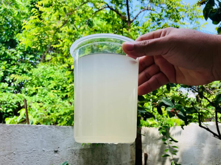 Pésima calidad del agua potable en el sur de Tamaulipas. Foto de Tania Villanueva/EnUn2x3