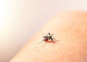 Investigan la que podría ser la primera muerte por dengue en Tamaulipas