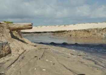 Atienden SEDUMA y Procuraduria Ambiental contaminacion de empresa en Altamira