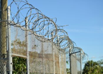 Condenan a 50 años de prisión a 11 responsables del asesinato de migrantes en San Fernando. Foto de Unsplash