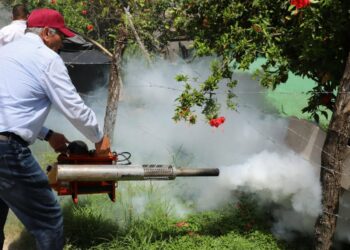 Destina Gobierno de Tamaulipas 50 MDP adicionales para el combate al dengue