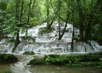 Gómez Farias podría ser el tercer pueblo mágico de Tamaulipas. Foto de Facebook Biosfera El Cielo Tamaulipas