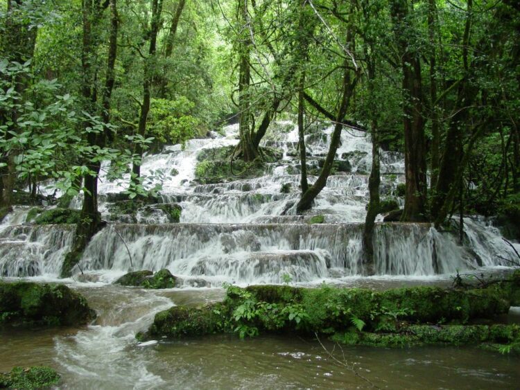 Gómez Farias podría ser el tercer pueblo mágico de Tamaulipas. Foto de Facebook Biosfera El Cielo Tamaulipas