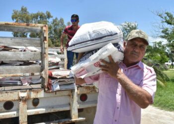 Entregan semilla de sorgo y maíz en Soto la Marina