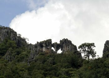Fortalece Tamaulipas medidas para proteger reservas naturales