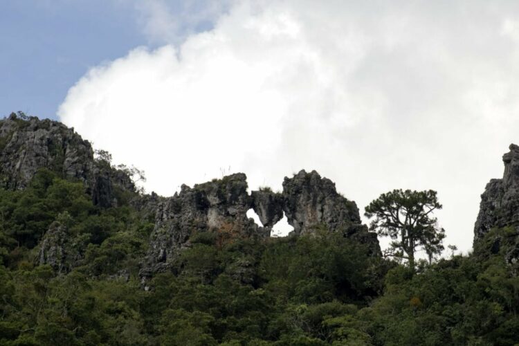 Fortalece Tamaulipas medidas para proteger reservas naturales