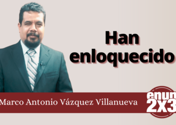 Marco Antonio Vázquez Villanueva | Han enloquecido