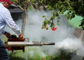 Más de 50 mdp se destinan al combate del dengue en Tamaulipas