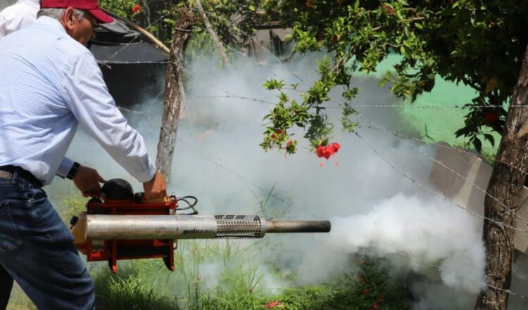 Más de 50 mdp se destinan al combate del dengue en Tamaulipas