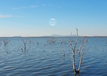 Tamaulipas supera sequía, confirma Conagua | Foto: Archivo En Un 2x3