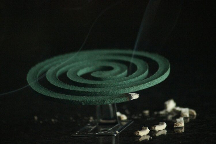 Analizan más de 5 mil casos de presunto dengue en Tamaulipas. Foto de Unsplash