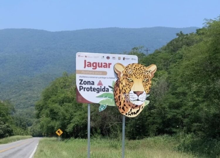Colocan señalamientos en carreteras de Tamaulipas para proteger la fauna