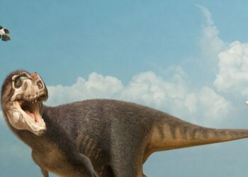 De nueva cuenta Coahuila destaca en descubrimiento de especie de dinosaurio
