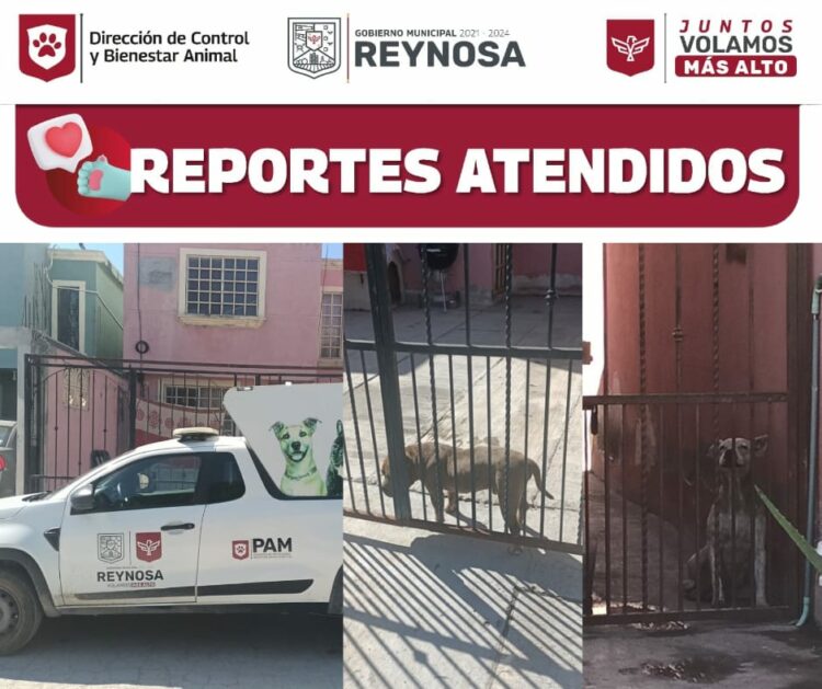 Emite Gobierno Municipal Acta por maltrato animal en Unidad Obrera