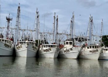 Tiene Tamaulipas la flota camaronera más grande del Golfo de México