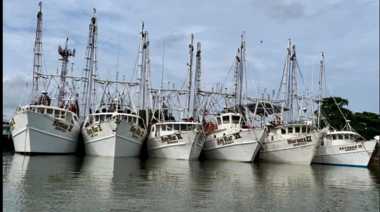 Tiene Tamaulipas la flota camaronera más grande del Golfo de México