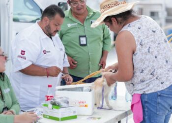Implemente Gobierno de Reynosa brigada ECOPATAS en Vista Alta
