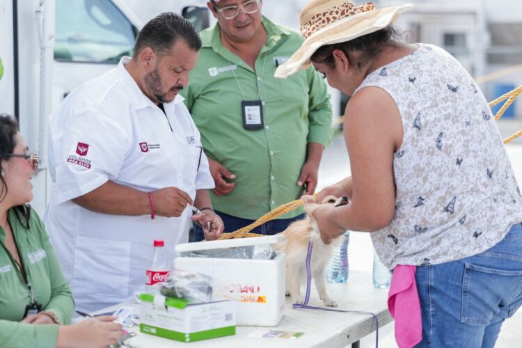 Implemente Gobierno de Reynosa brigada ECOPATAS en Vista Alta