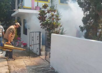 Incrementan casos de dengue en Tamaulipas; suman más de 700