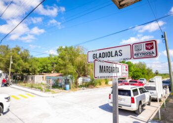 Obra del Gobierno de Reynosa en la colonia Ruiz Cortinez beneficia a mil 900 reynosenses