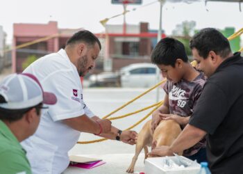 Reafirma Gobierno de Reynosa compromiso de protección y atención animal