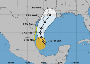 Municipios costeros y del norte en vigilancia por tormenta tropical "Francine" | Foto: Protección Civil Tamaulipas