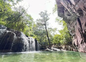 Victoria superó la expectativa turística en el periodo vacacional “Verano 2024”, comprendido del 6 de julio al 4 de agosto.