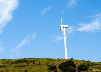 Sheinbaum dará continuidad a proyectos energéticos en Tamaulipas. Foto de Unsplash